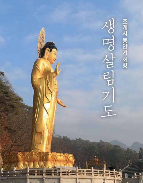법주사1.jpg