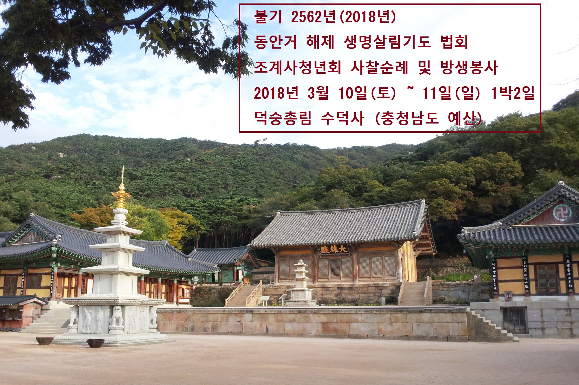 수덕사2.jpg