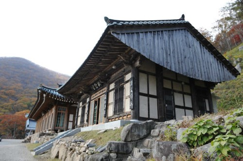 06.jpg