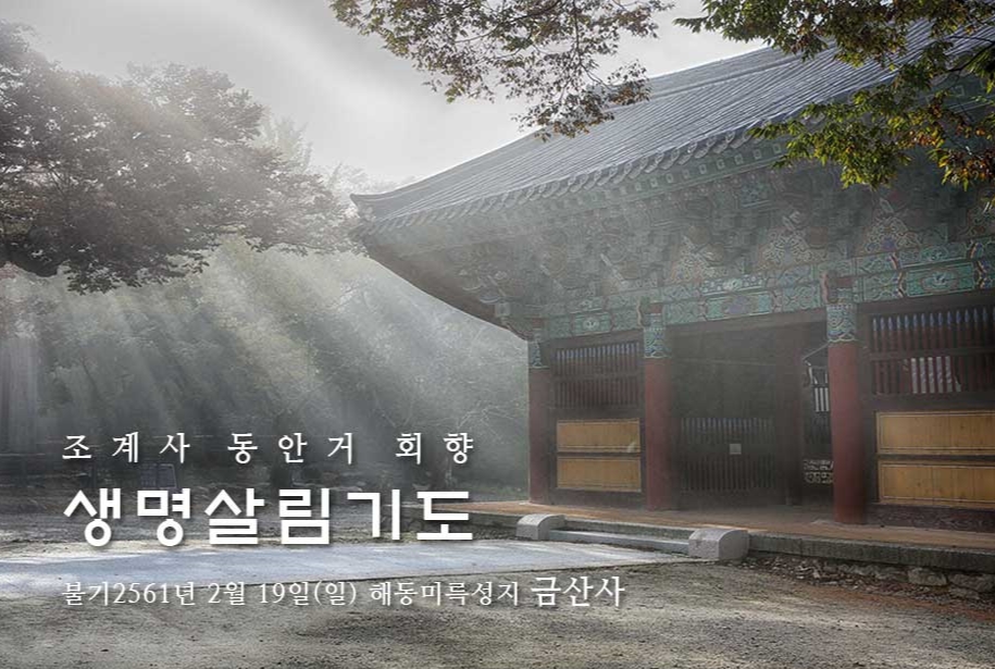 금산사.jpg